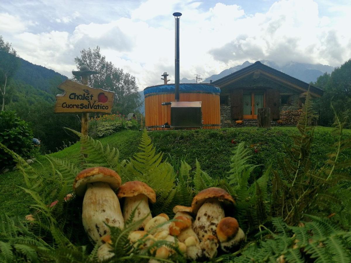 Chalet Cuore Selvatico Monno 外观 照片