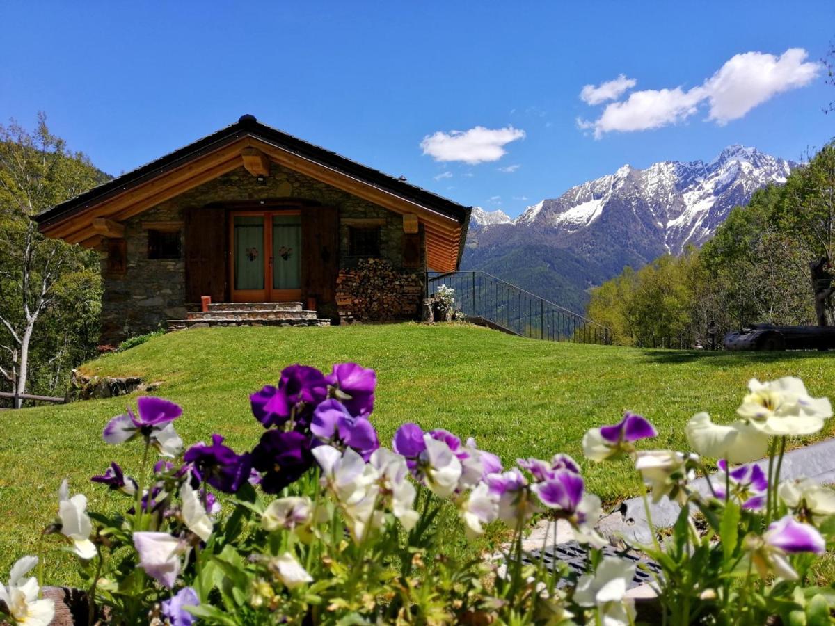 Chalet Cuore Selvatico Monno 外观 照片